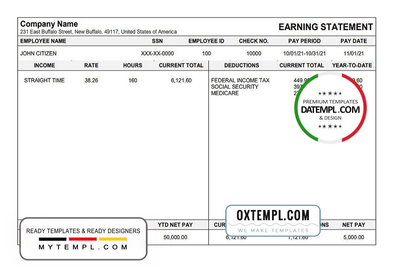 USA Michigan pay stub example in Word and PDF format, fully editable
