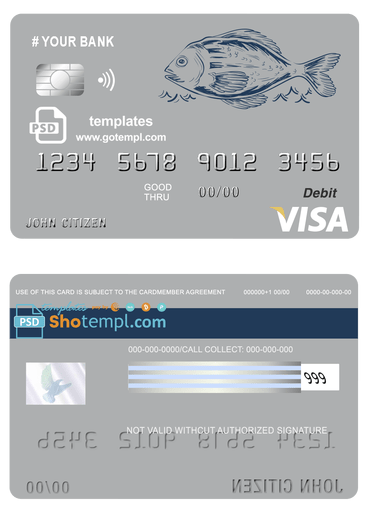 # lucky fish universal multipurpose bank visa credit card example in PSD format, fully editable
