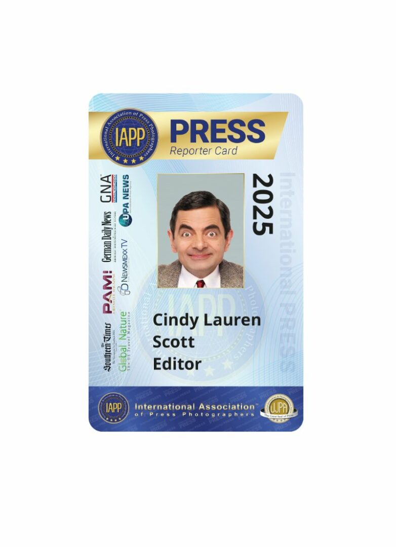 Press reporter card template in PSD format