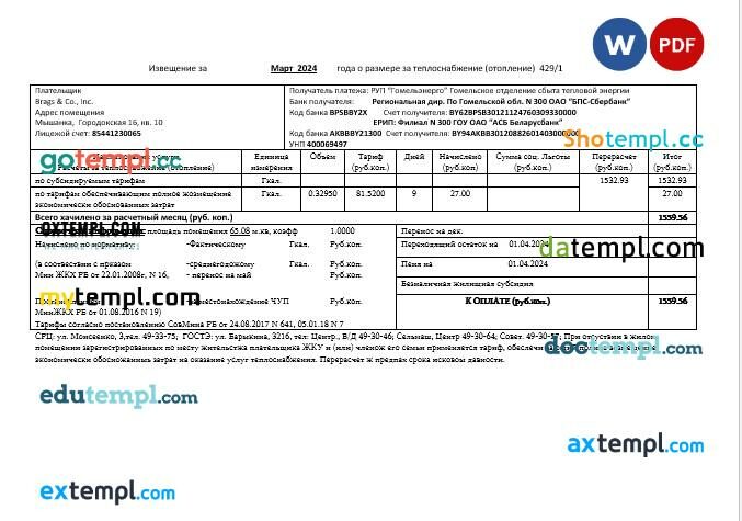 Belarus Gomel energo business utility bill template in Word and PDF format