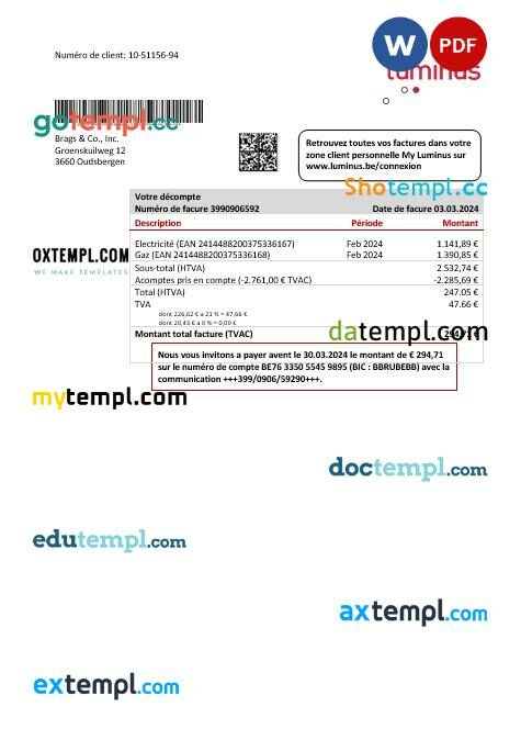Belgium Luminus business utility bill template in Word and PDF format