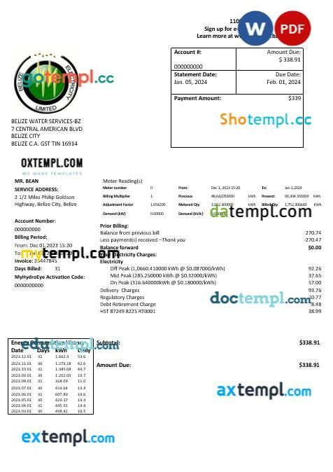 Belize Electricity Limited electricity business utility bill template in Word and PDF format