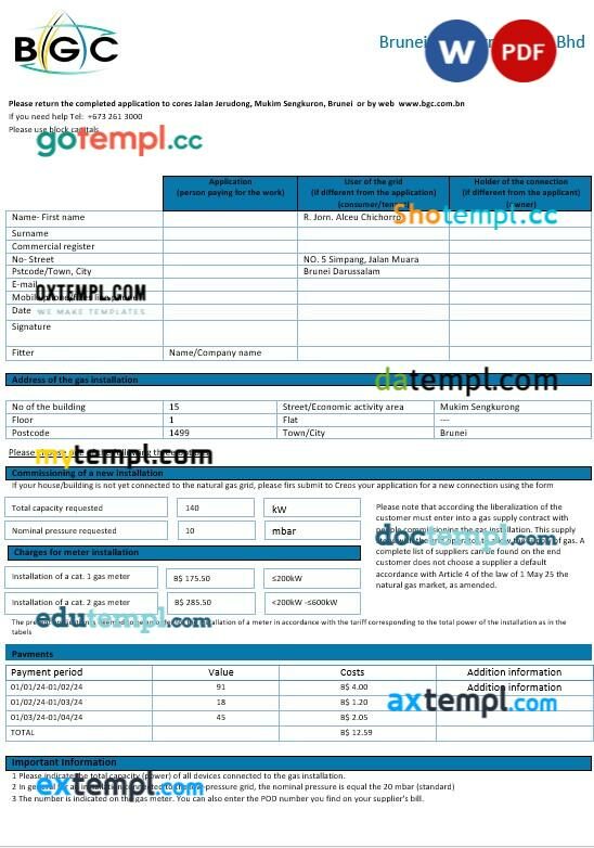 Brunei Gas Carriers gas business utility bill template in Word and PDF format