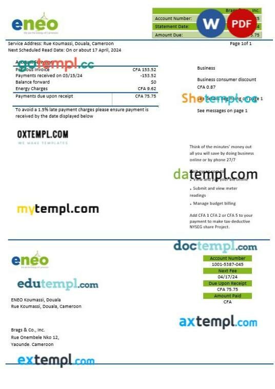 Cameroon ENEO electricity business utility bill template in Word and PDF format