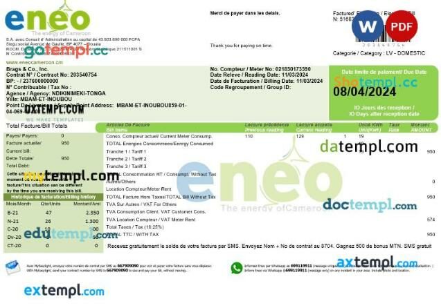 Cameroon ENEO electricity business utility bill template in Word and PDF format, version 2