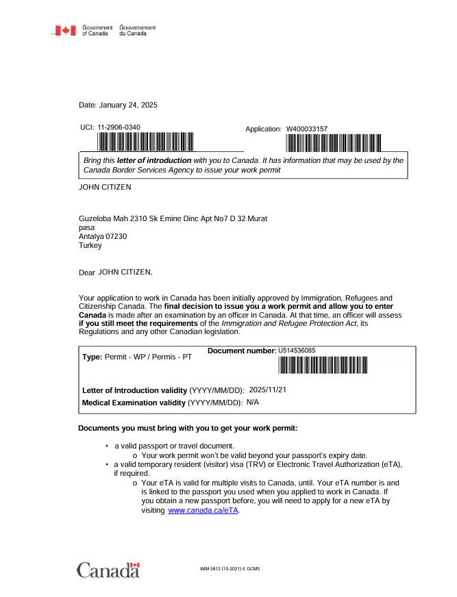 Canada e-visa template in Word and PDF formats