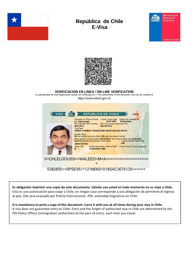 Chile e-visa template in Word and PDF formats