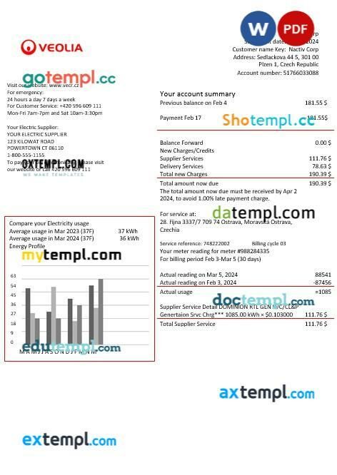 Czechia Veolia Energy Czech Republic energy business utility bill template in Word and PDF format