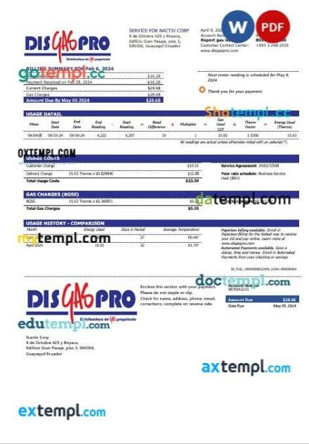 Ecuador Disgaspro gas business utility bill template in Word and PDF format