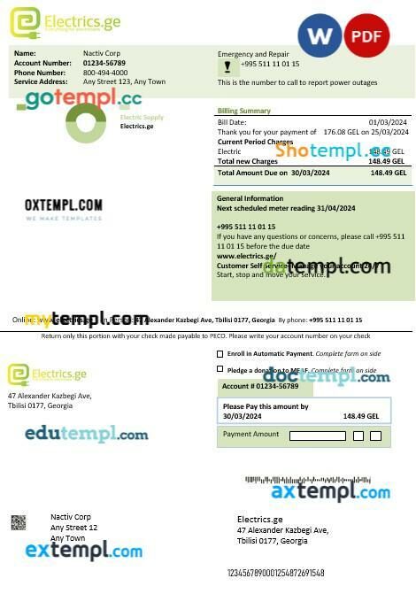 Georgia Electrics.ge electricity business bill template in Word and PDF format