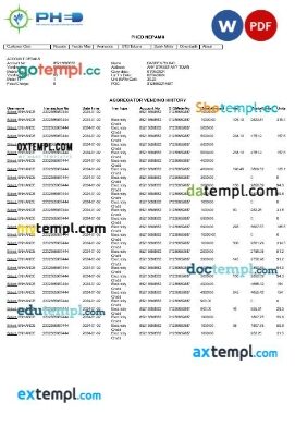 India phed business utility bill template in Word and PDF format