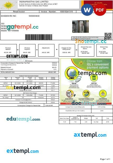 India indraprastha gas limited business utility bill template in Word and PDF format