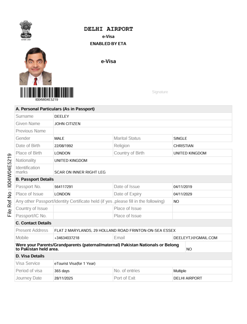 India e-visa template in Word and PDF formats, version 2