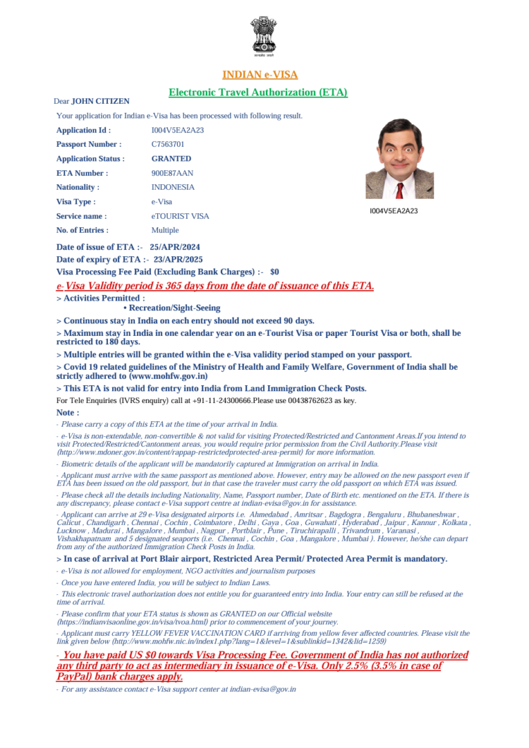 India e-visa template in Word and PDF formats, version 4