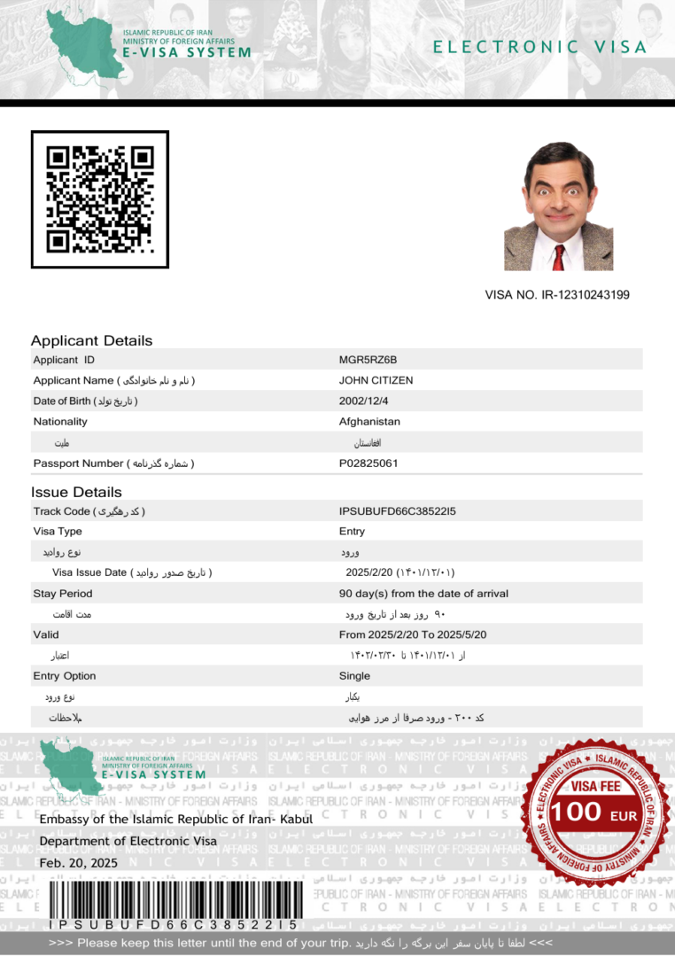 Iran e-visa template in Word and PDF formats