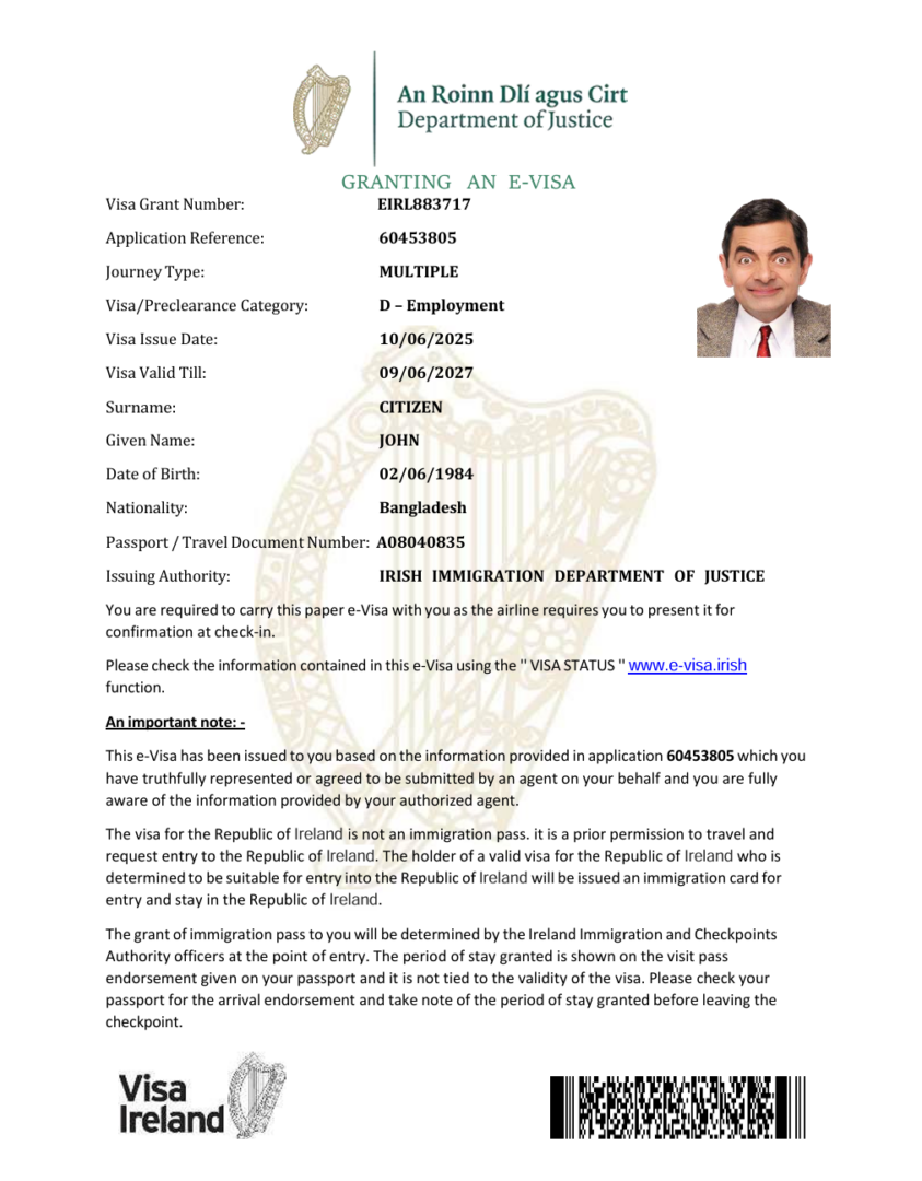 Ireland e-visa template in Word and PDF formats