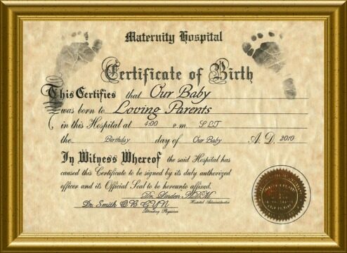Maternity hospital birth certificate template in PSD format