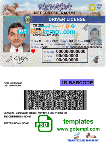 USA Nevada driver license download example in PSD format