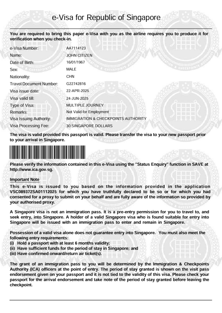 Singapore e-visa template in Word and PDF formats
