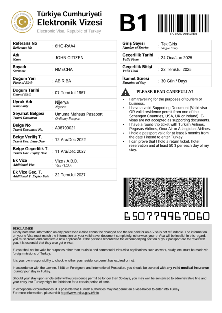 Turkey e-visa template in Word and PDF formats
