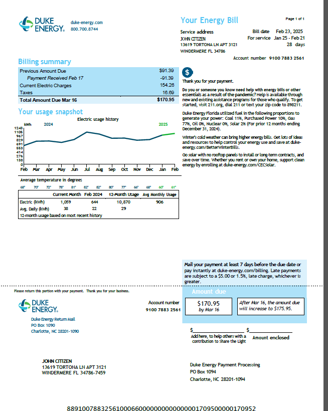 USA Duke Energy utility bill template in Word and PDF formats, version 5
