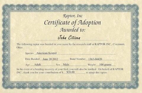 USA Raptor Inc certificate of adoption template in PSD format
