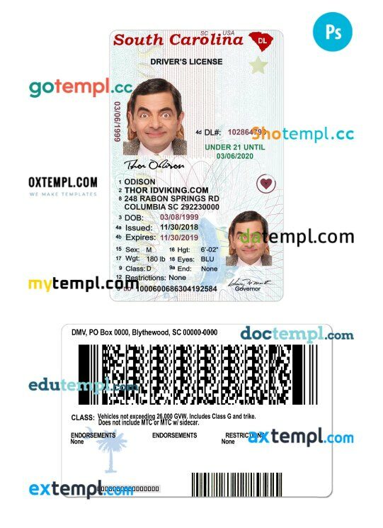 USA South Carolina under 21 driving license PSD editable template