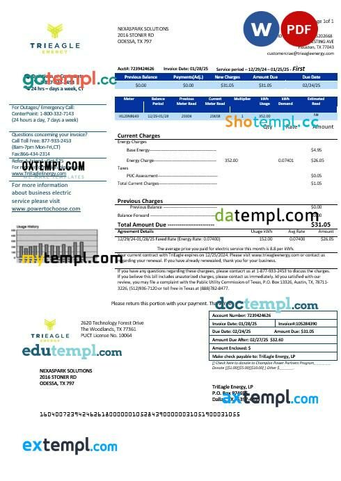 USA Texas TriEagle business utility bill template in Word and PDF formats