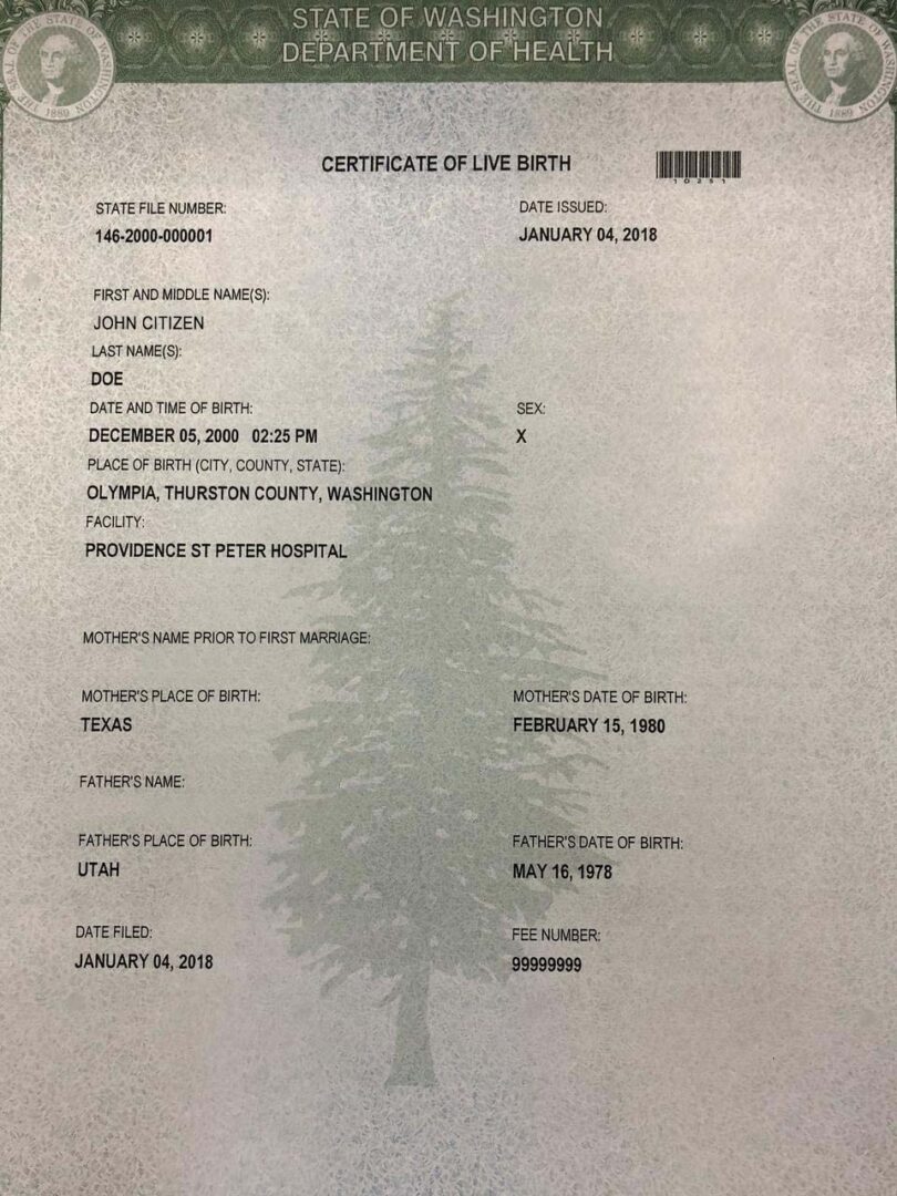 United States Department of Health St Peter hospital birth certificate template in PSD format