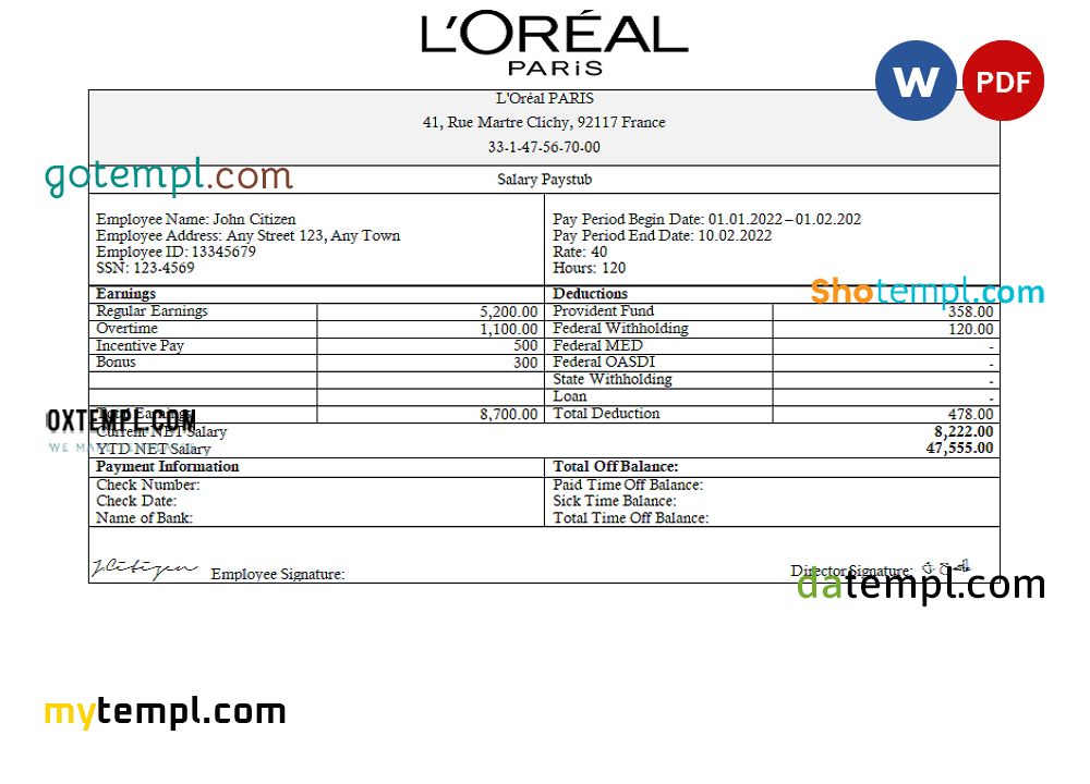 French Loreal Paris cosmetic distributing company pay stub Word and PDF example