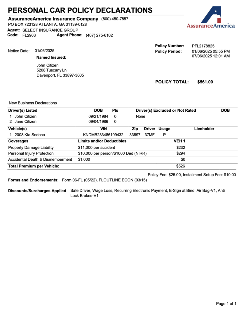 Assurance America Insurance Company personal car policy declarations Word and PDF template