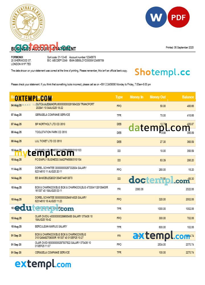 Banco Central de Bolivian enterprise statement Word and PDF format