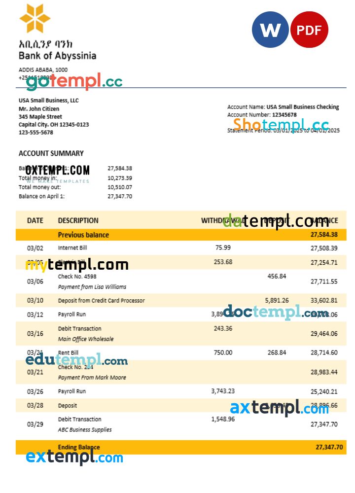 Bank of Abyssinia business bank statement Word and PDF format