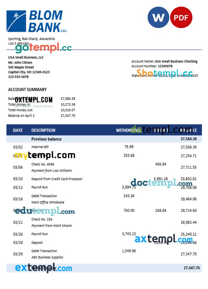 Blom Bank of Egypt enterprise account statement Word and PDF template