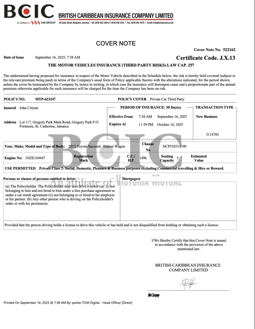 British Caribbean Insurance Company the motor vehicles insurance Word and PDF template