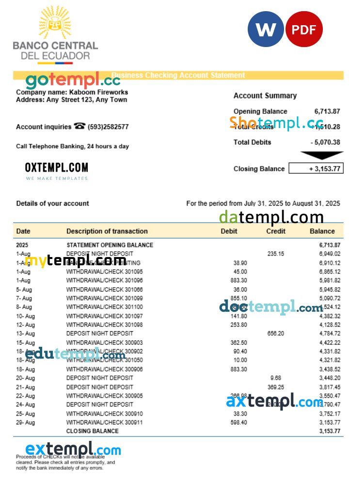 Central Bank of Ecuadorian organization checking account statement Word and PDF format