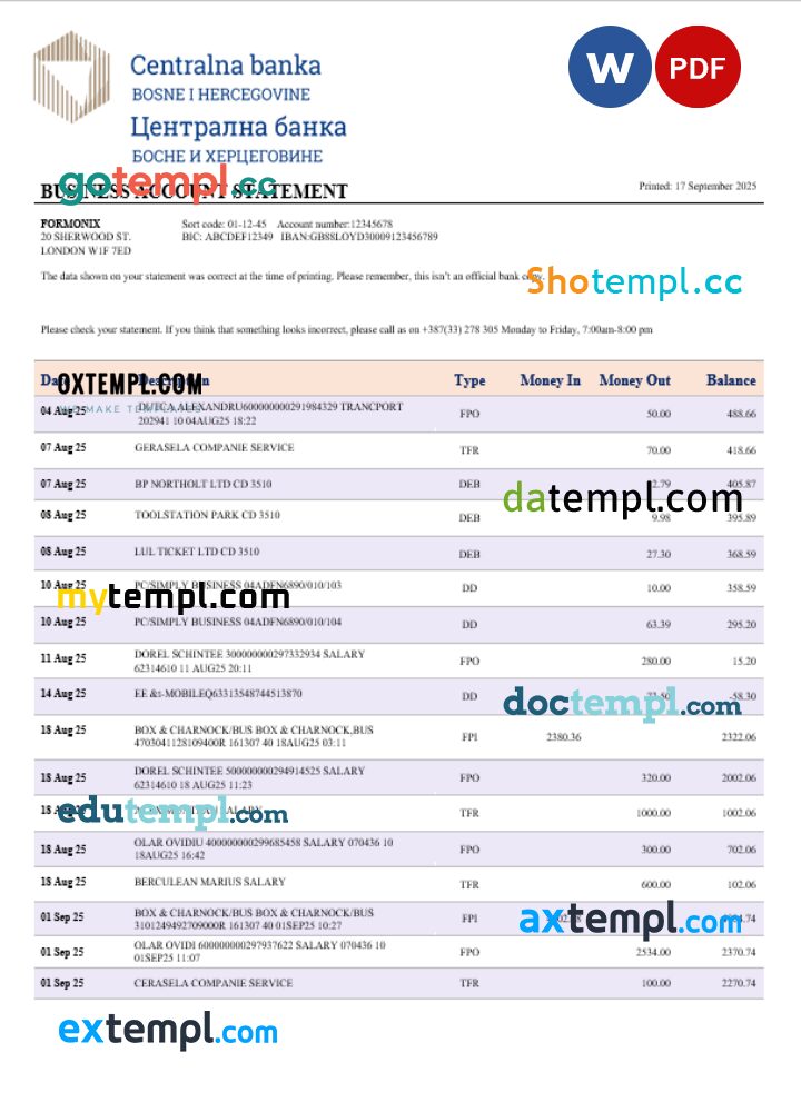 Central business bank statement Word and PDF format