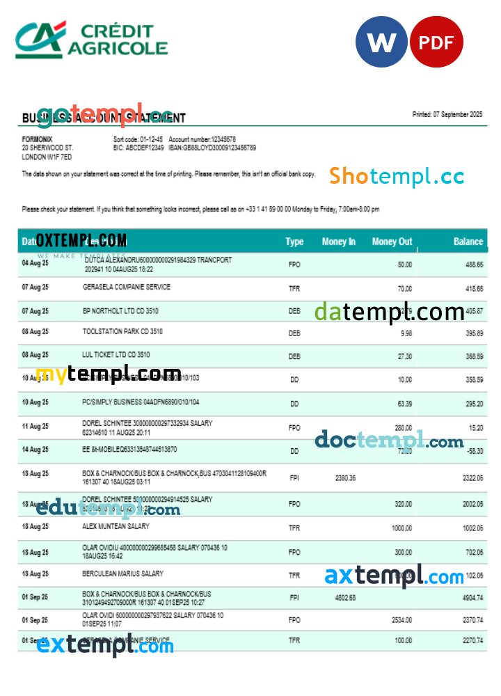Credite Agricole company checking account statement Word and PDF template