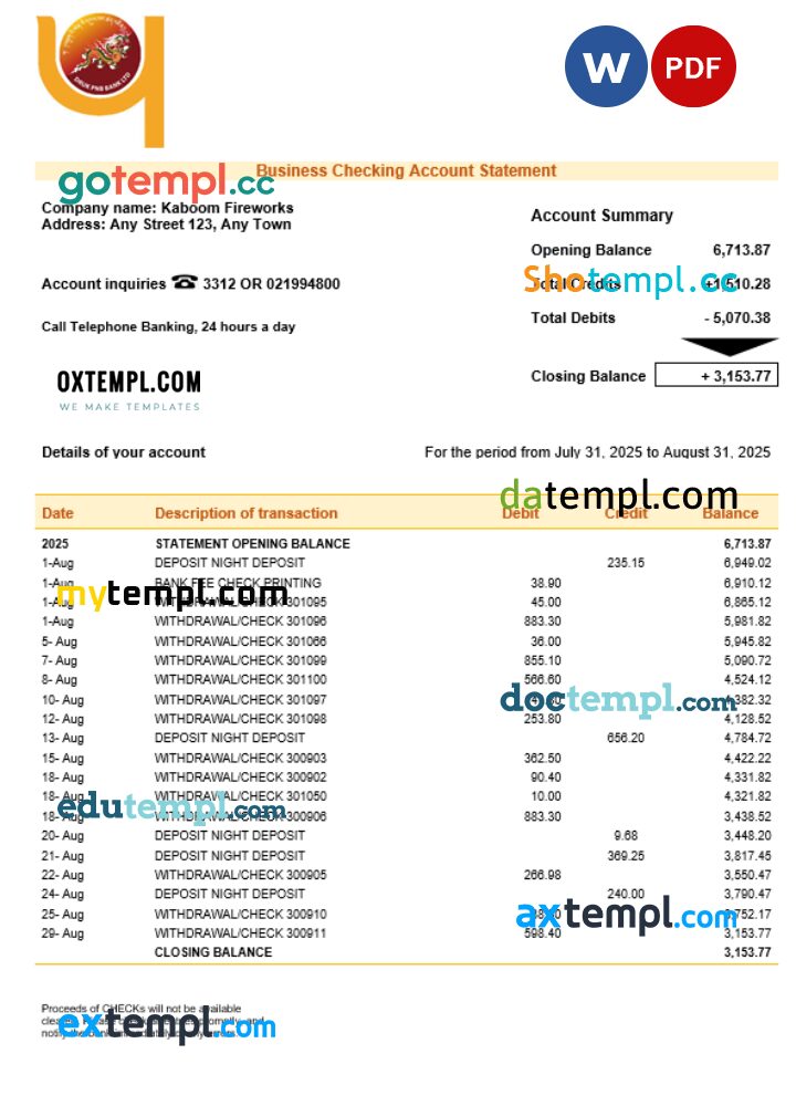 Druk PNB bank firm account statement Word and PDF template