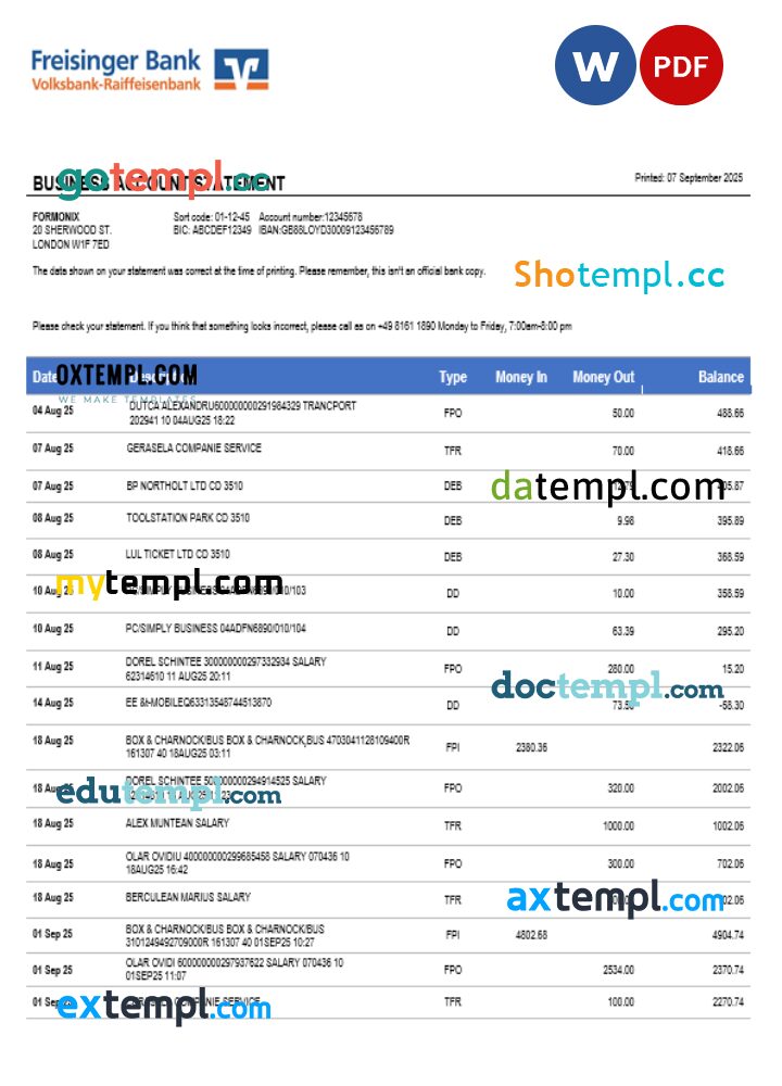 Freisinger Bank account business statement Word and PDF format