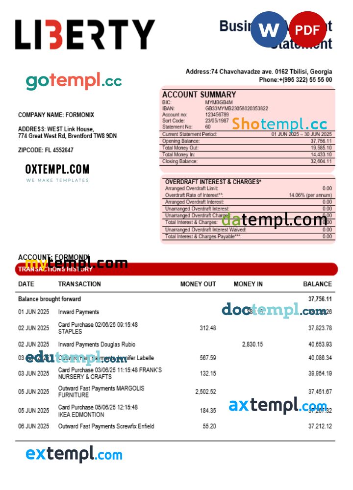 Liberty bank organization checking account statement Word and PDF format