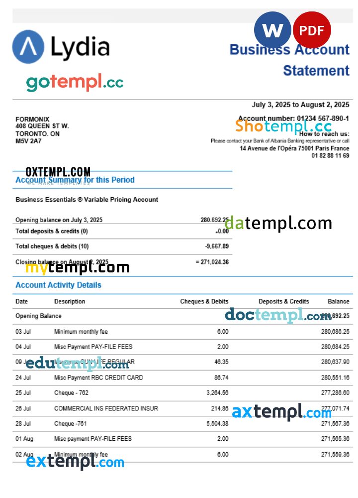Lydia Noir bank business firm account statement Word and PDF format