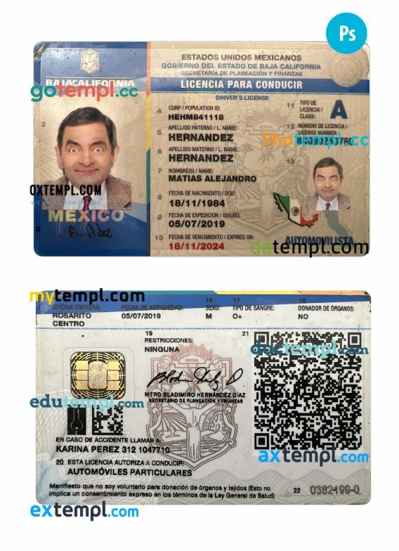 Mexico Baja California state driving license PSD editable template