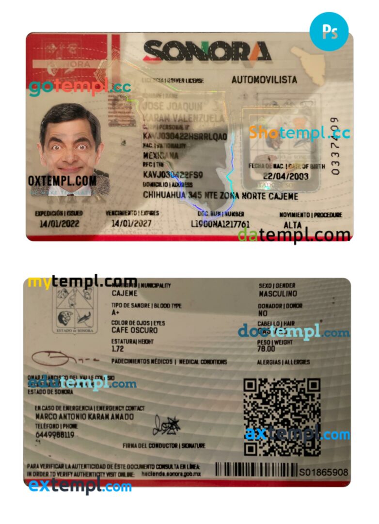Mexico Sonora state driving license PSD editable template