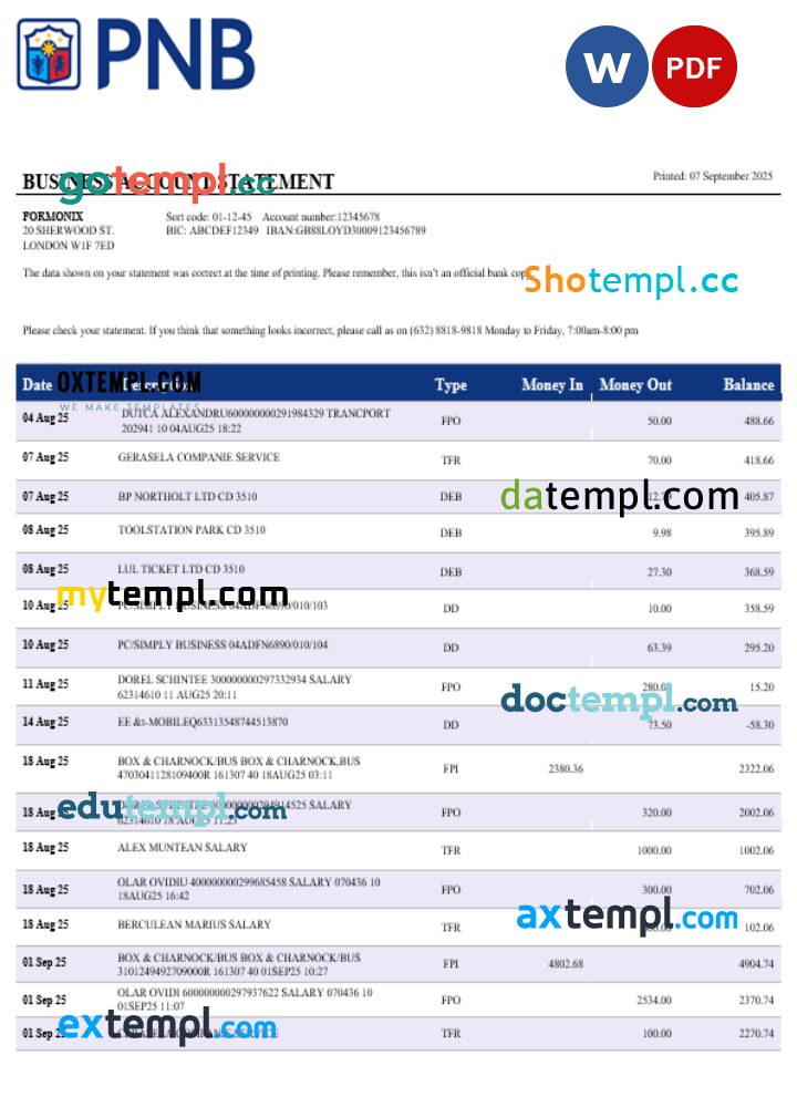 PNB bank business account statement Word and PDF template