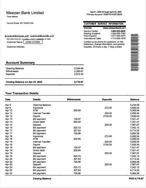 Pakistan Meezan Bank Limited account statement Word and PDF template