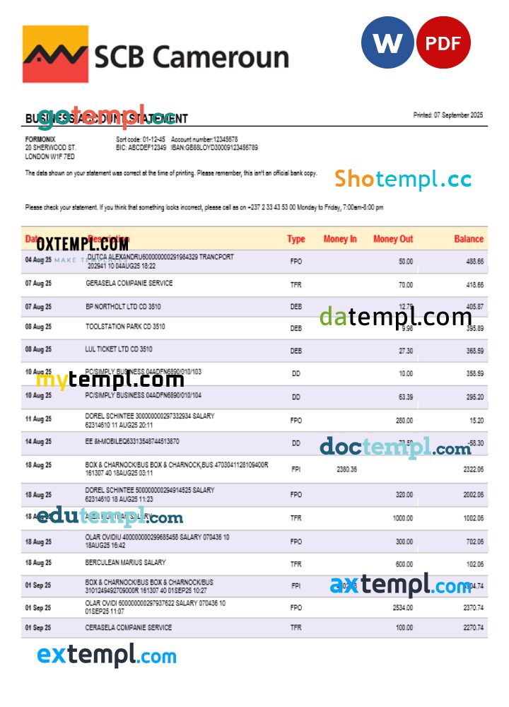 SCB firm account statement Word and PDF template