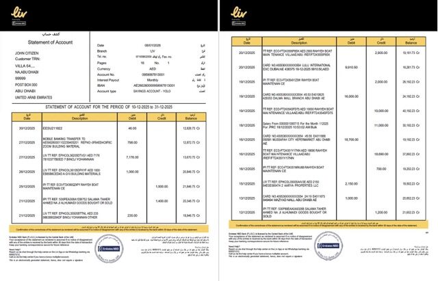 UAE Liv. Digital Bank statement of account Word and PDF template, 2 pages