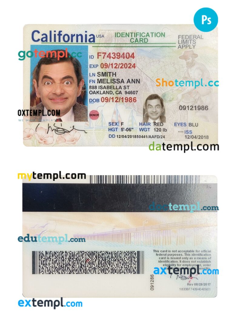 USA California ID card PSD template