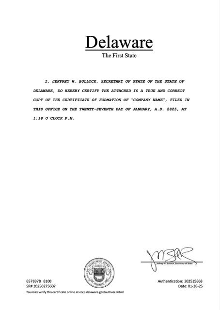 USA Delaware registration certificate Word and PDF template